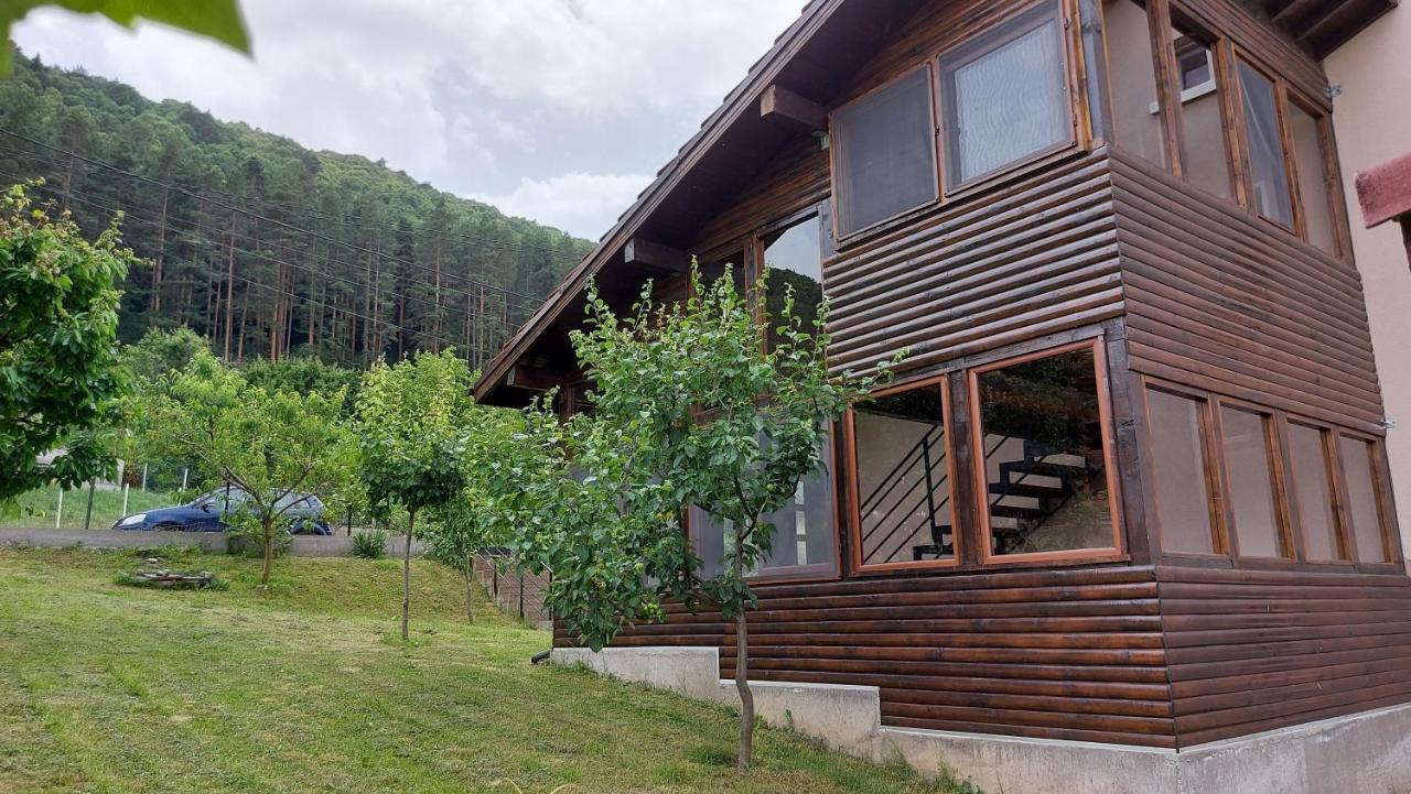 Forest Apartment サパレヴァ・バニャ エクステリア 写真