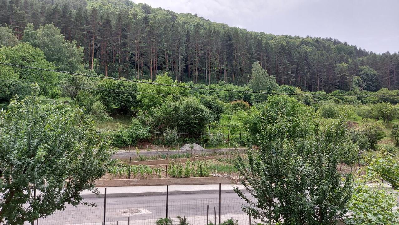 Forest Apartment サパレヴァ・バニャ エクステリア 写真